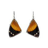Real orange and black butterfly wings set in sterling silver as earrings sit on a white background