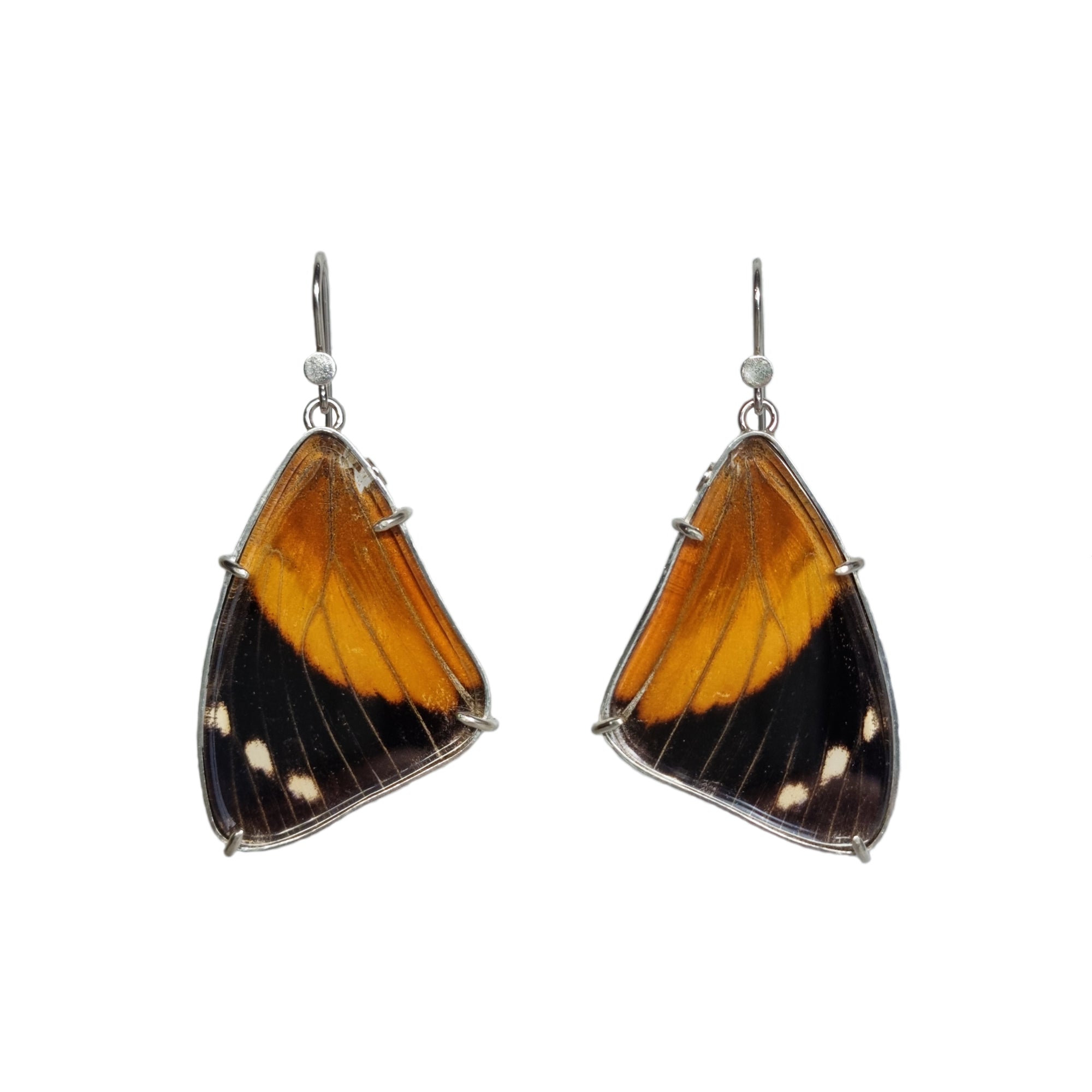 Real orange and black butterfly wings set in sterling silver as earrings sit on a white background