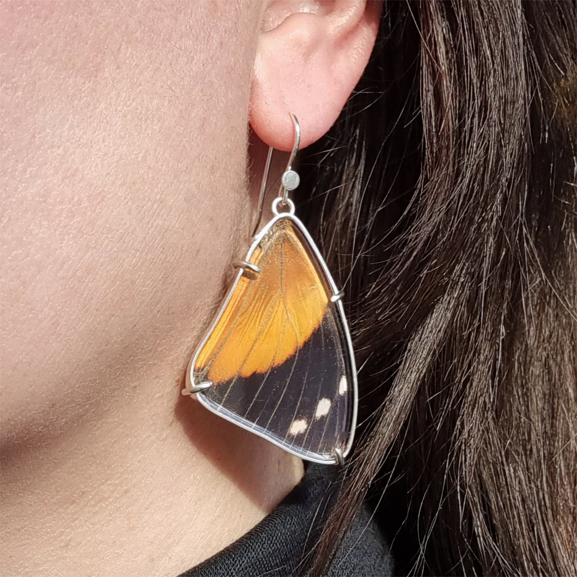 Real orange and black butterfly wings set in sterling silver as earrings being worn
