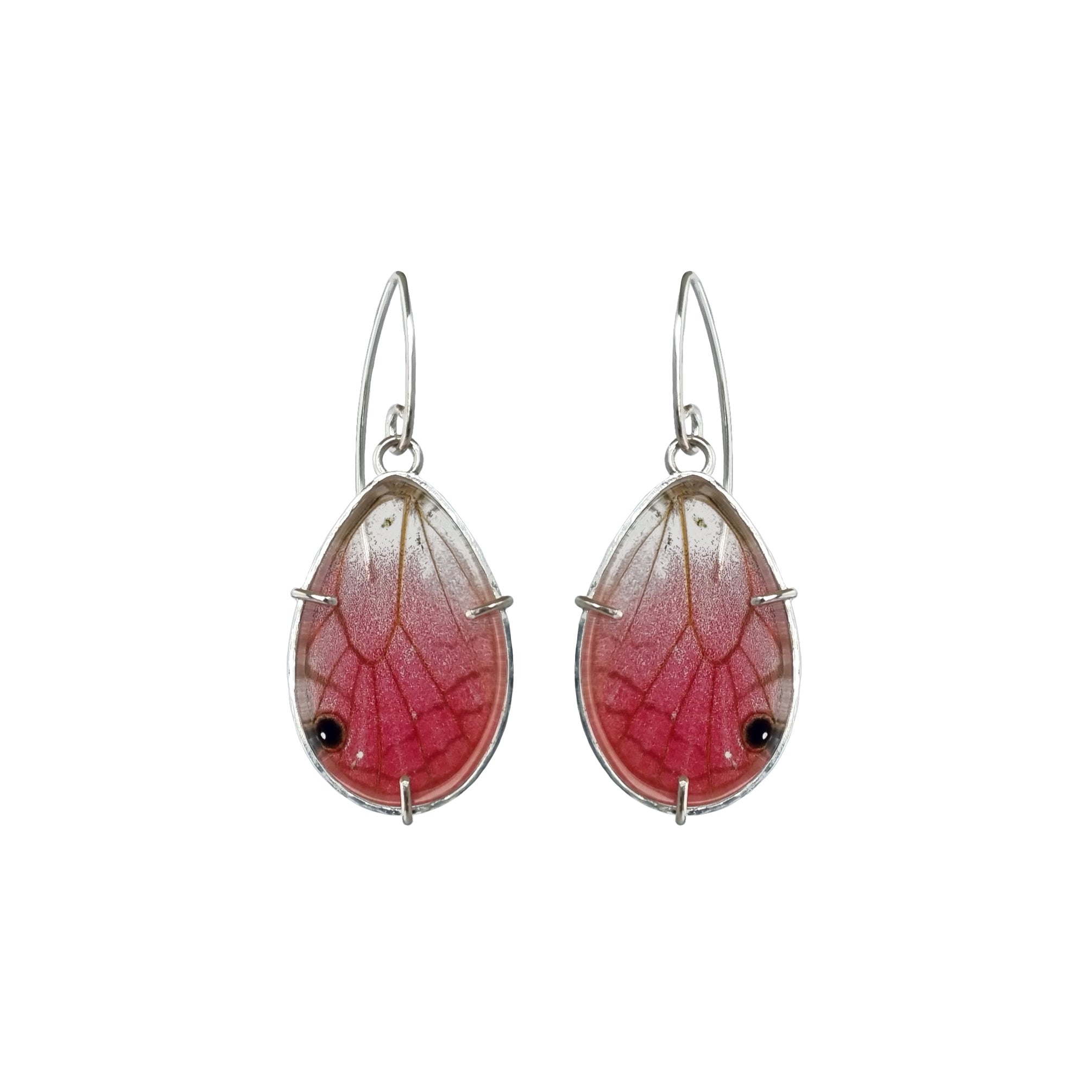 A pair of real Cithaerias aurorina butterfly wings set in solid sterling silver and perspex as vibrant earrings. The earrings are photographed on a studio white background.