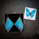A pair of morpho butterfly wing earrings displayed in a black gift box alongside an information card about the piece of jewellery and butterfly. It is photographed on a black slate background.