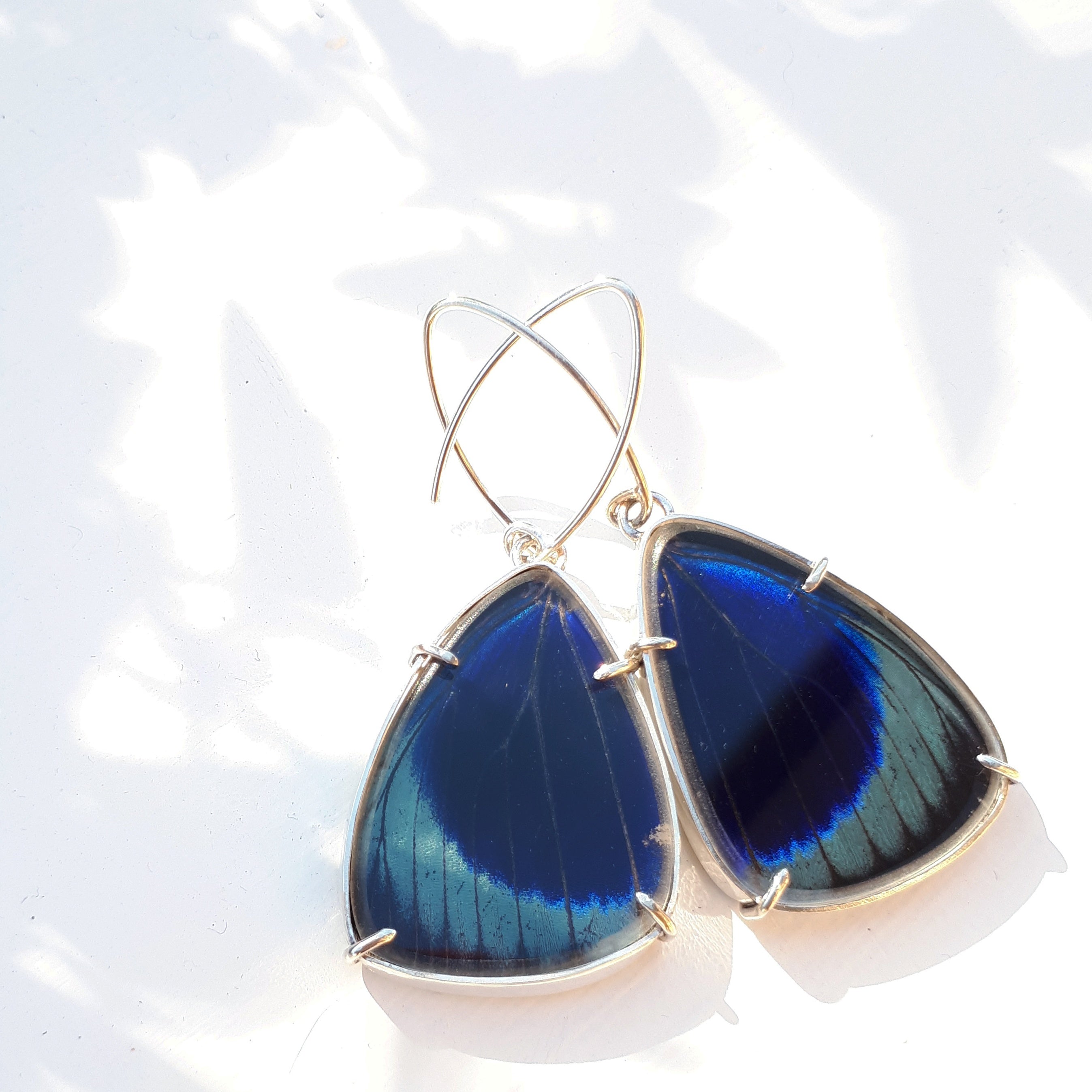 Emily Eliza Arlotte Handcrafted Fine Jewellery Real Butterfly Wing Earrings Asterope leprieuri
