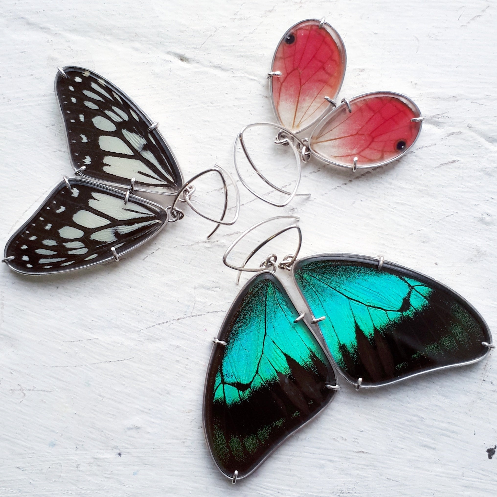 Three pairs of real butterfly wing earrings. The earrings are positioned to appear like three butterflies are facing each other, almost like a flower formation. The colours of the butterflies are pink, aqua, and black and white.